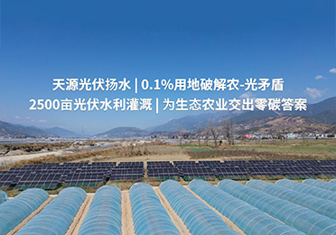 冕寧縣2023高標(biāo)準(zhǔn)農(nóng)田光伏提灌站項(xiàng)目